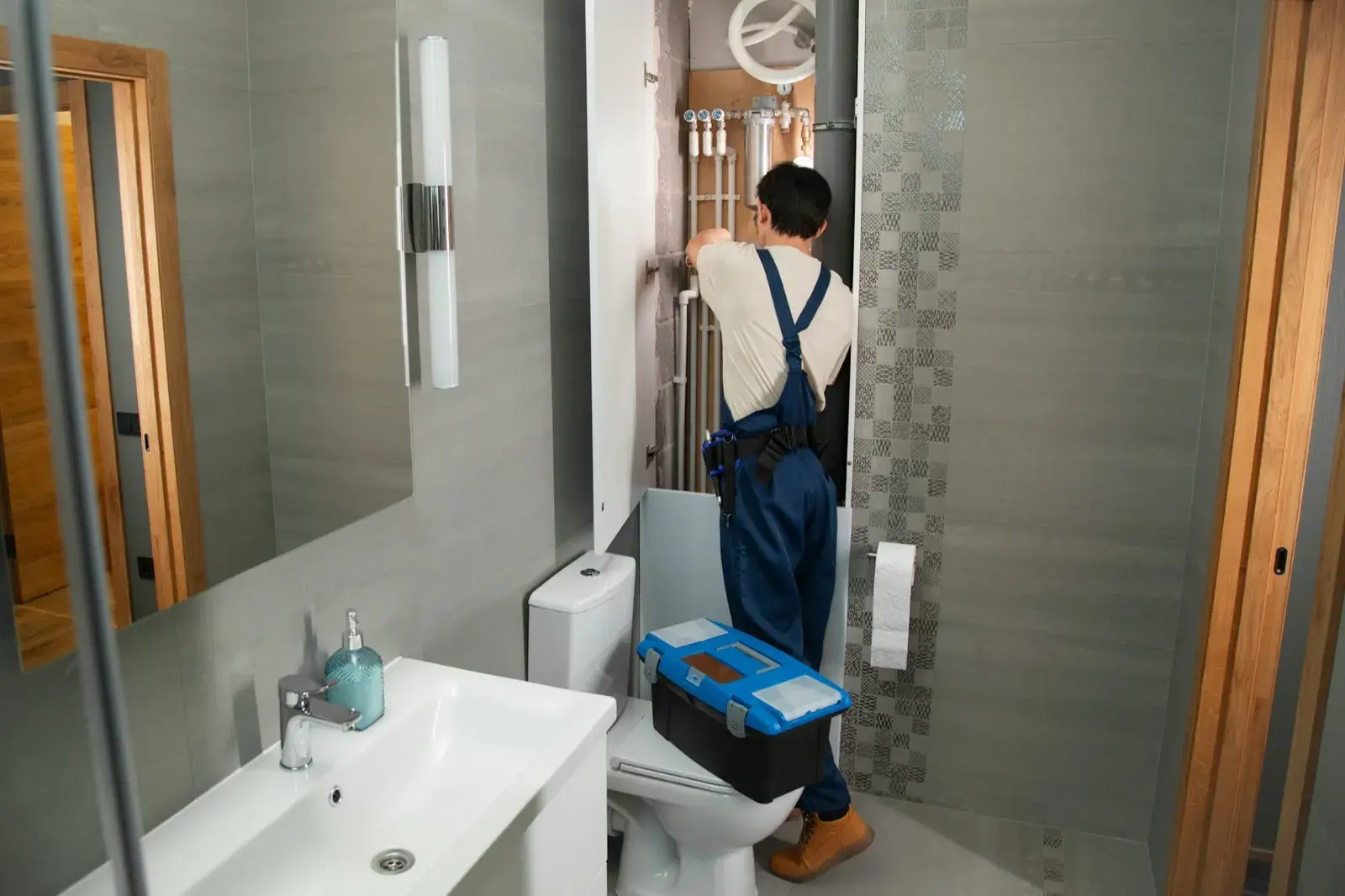 Plumbers professional